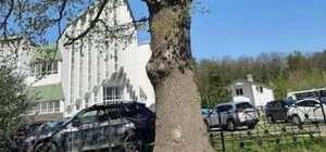 У Львові біля 180-річного дуба обмежать паркування