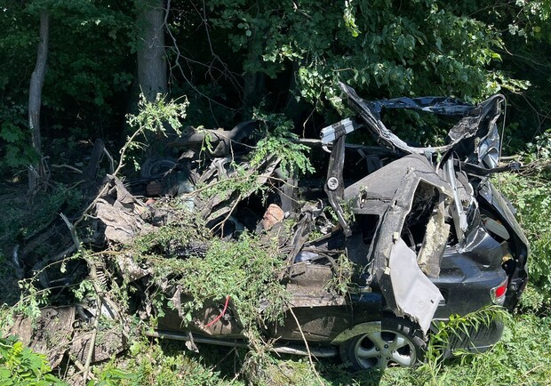 Біля Львова автомобіль в'їхав у дерево, загинули двоє людей: фото і відео з місця ДТП. 