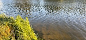 На Журавлівці потонула 12-річна дівчинка