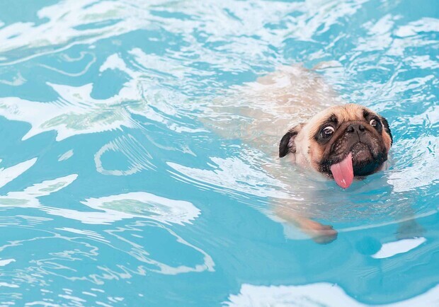 В Одесі області знову зафіксували температурний рекорд: коли стане прохолодніше