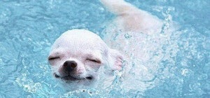 Стало відомо, коли у Запоріжжі спаде спека