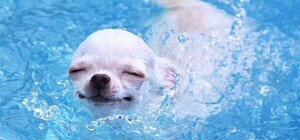 Сьогоднішня спека в Одесі знову битиме рекорди, але обіцяють і штормове