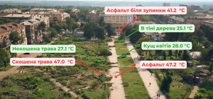 У Запоріжжі виміряли температуру асфальту і в тіні дерев