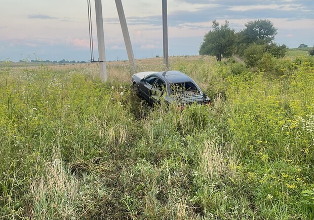 У ДТП неподалік Львова загинула жінка, яка переводила через дорогу корову. 