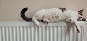 У Дніпрі вирішують питання щодо теплопостачання житлового масиву Придніпровськ