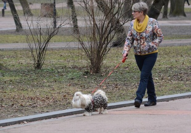 У Львові працівникам найбільших парків дозволили складати протоколи на порушників правил вигулу собак 