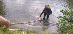 У Дністрі на Львівщині втопився 38-річний чоловік  