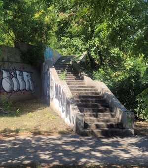 Військовий узвіз в Одесі без сфінксів: куди зникли скульптури котів і як без них виглядають сходи