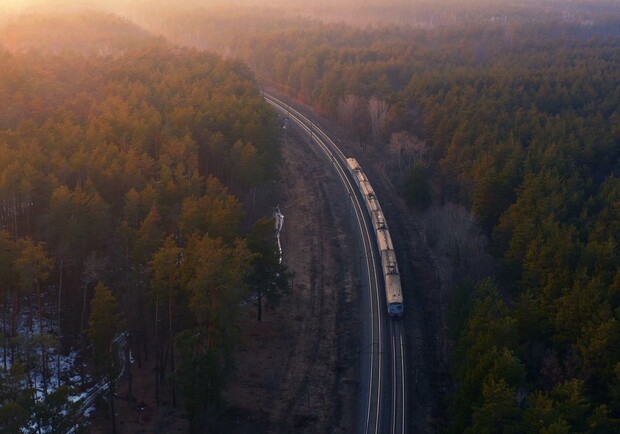 У Львівській області на поїзд впало дерево, є постраждалі: фото. 