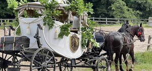 Кінна прогулянка в Каретному дворі