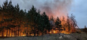 В Ізюмському районі десятий день борються із масштабною лісовою пожежею: є постраждалі