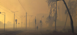 У районі Журавлівського гідропарку горить ліс, транспорт пускають у об'їзд