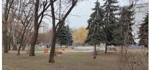 В Одесі розпочалося будівництво бювету, але постраждають зелені насадження