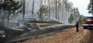 На Харківщині пожежі за тиждень знищили близько 2300 гектарів