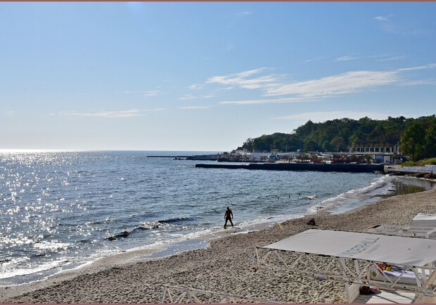 Виїзна донація та Oktoberfest: куди піти в Одесі наступних вихідних безкоштовно 