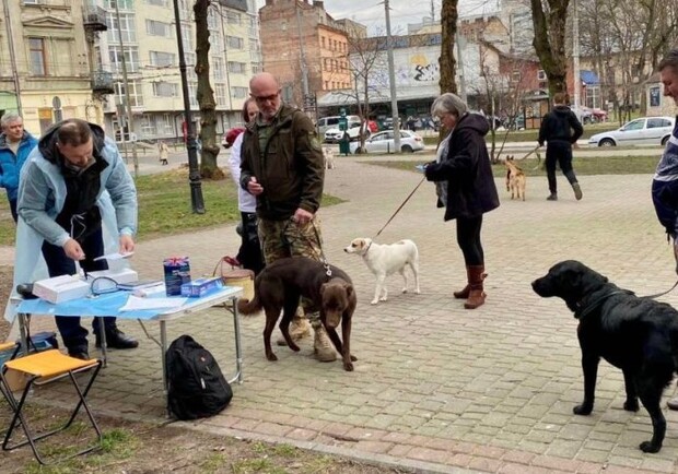 У Лисиничах безкоштовно вакцинуватимуть домашніх тварин від сказу 