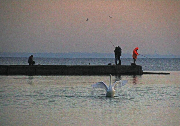 Концерти DOROFEEVA та YAKTAK: куди піти в Одесі наступного тижня