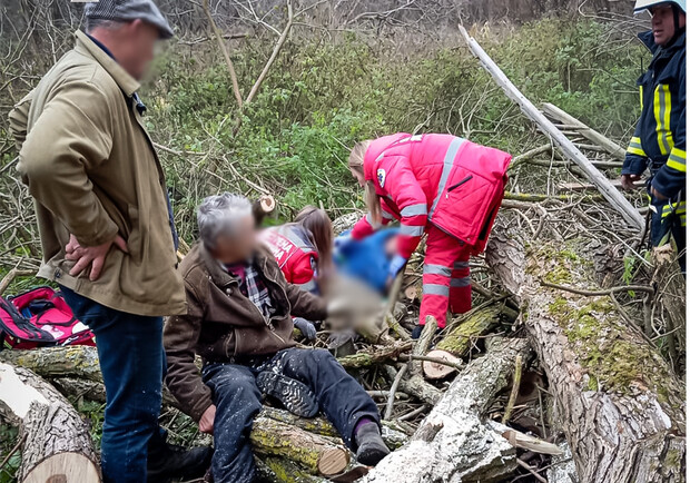 У Львівській області на батька з сином впало дерево і затисло 