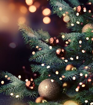 Скільки коштує святковий декор і ялинка у Запоріжжі 2024 року