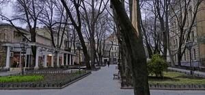 В Одесі дерево, що впало, впало на жінку