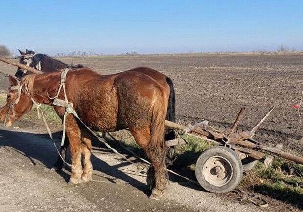 В ДТП у Львівській області загинув керманич підводи 