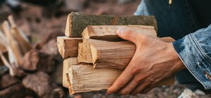 У Запоріжжі та області дозволили безкоштовно збирати деревину для опалення