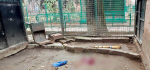 В Одесі в зоопарку леопард напав на працівника: подробиці інциденту (оновлено)