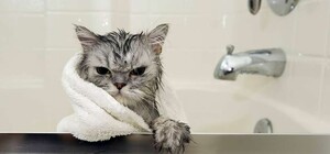 З понеділка в Дніпрі відключатимуть боржникам воду: адреси будинків