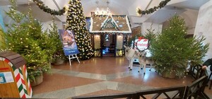 Стало відомо, коли почне працювати резиденція Святого Миколая у Харкові