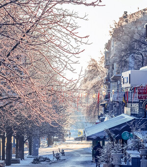Новорічні свята у Запоріжжі: куди піти з 29 грудня по 1 січня