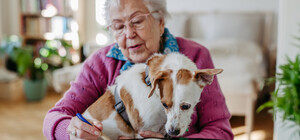 Пенсії 2025: хто отримає підвищення і які зміни чекають українців