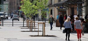 Торік у Львові висадили майже 8 тисяч дерев та кущів
