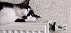 У частині Одеси добу не буде тепла: за якими адресами (оновлено)