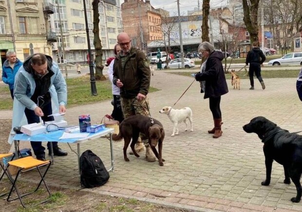 У Львівській області стрімко зросла кількість випадків сказу. 