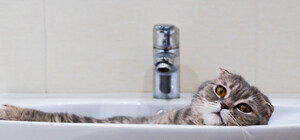 З понеділка у Дніпрі відключатимуть воду боржникам: адреси будинків