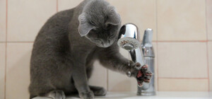 Цього тижня у Дніпрі відключатимуть воду боржникам: адреси будинків