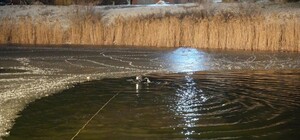 Провалилися під лід: упродовж трьох днів на Одещині загинули чотири людини