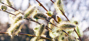 Пенсії, чеки, ціни на ліки: що зміниться в Україні з 1 березня