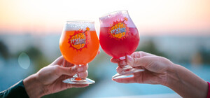 Craft Beer & Vinyl Music Festival