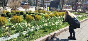 Стежити за цвітінням у різних локаціях Львова можна на карті цвітіння