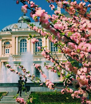 Концерт Олександра Кварти та спектакль 
