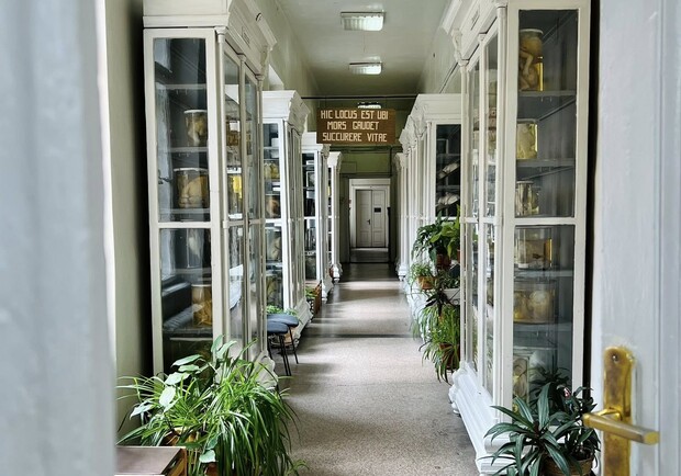 Музей хвороб людини - фото: Дім Франка - Franko House, фейсбук сторінка