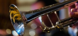 Червень в Органному