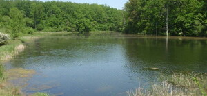 На Харківщині заборонили купатися в небезпечній водоймі