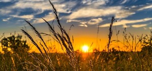  День літнього сонцестояння-2025: все про найдовший день року 