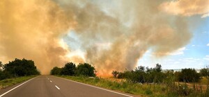 Масштабна пожежа в Одеській області призвела до ускладнення руху: що горить