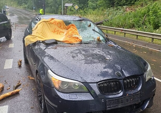 Біля Львова на автомобіль впало дерево, дівчину забрала "швидка": фото. 