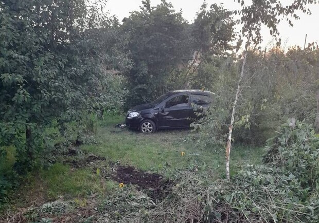 У Радехові п’яна водійка протаранила дерево і злетіла у кювет 