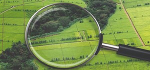 У громадян РФ конфіскували землю у Харківській області