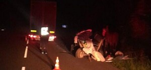 В ДТП біля Шептицького постраждав керманич підводи